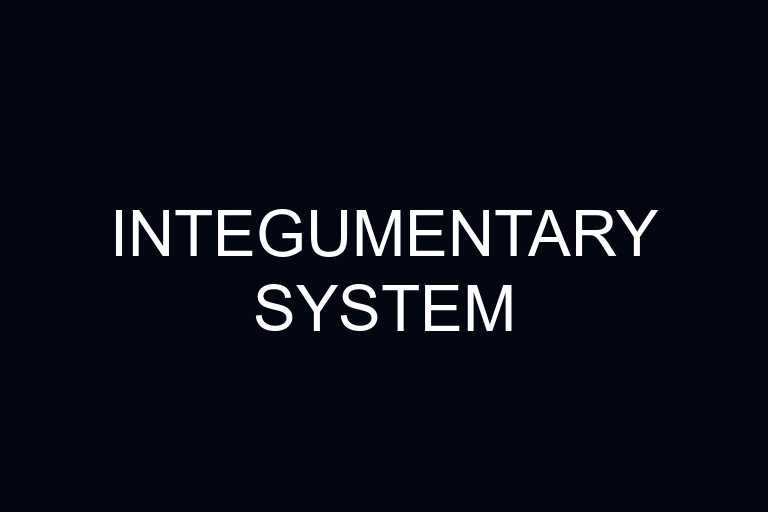 integumentary system overview