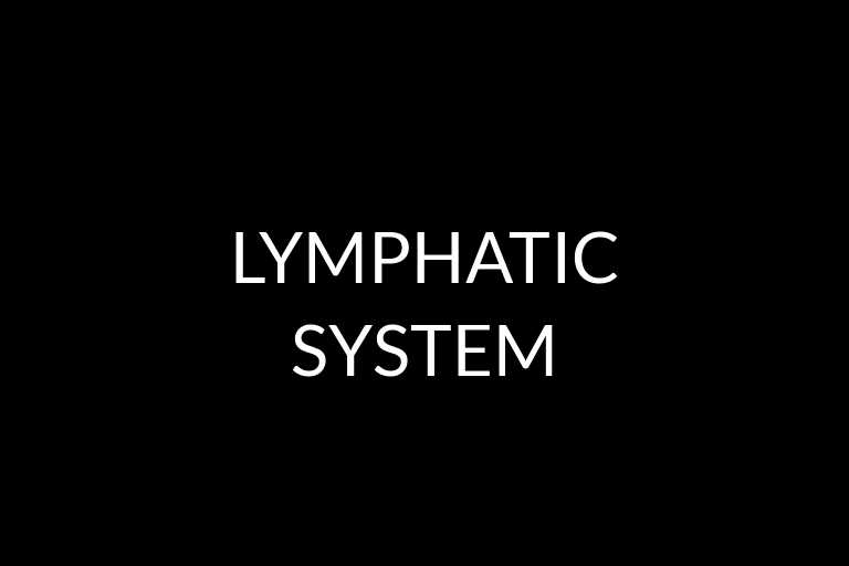 lymphatic system