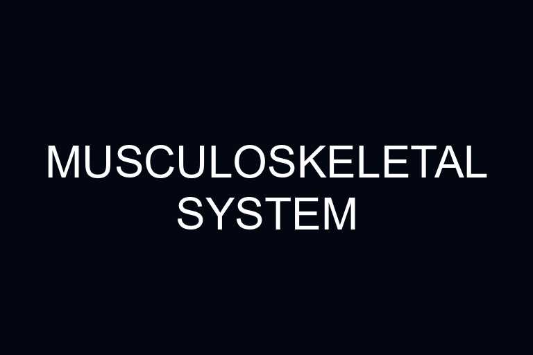 musculoskeletal system overview