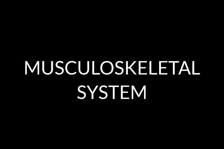 musculoskeletal system