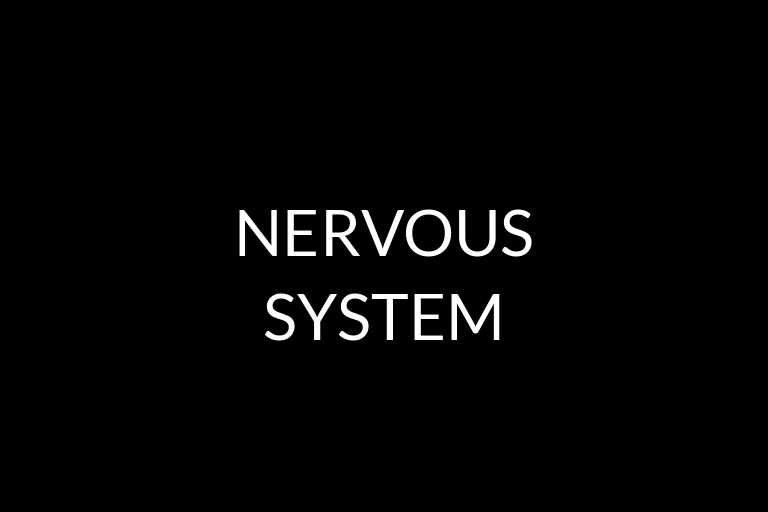 nervous system