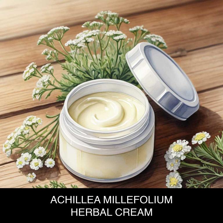 achillea millefolium herbal creams for mouth-sour-taste