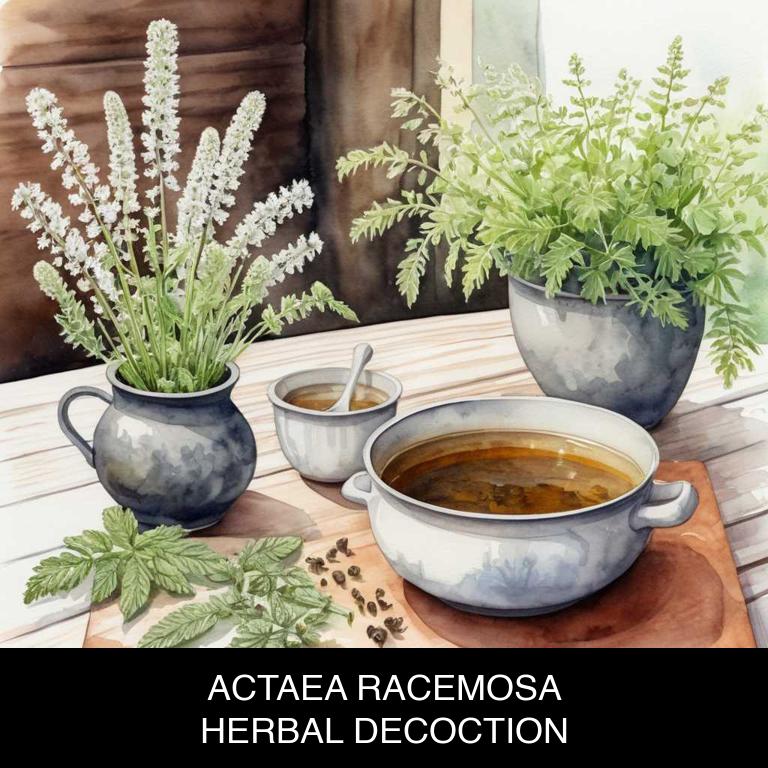 actaea racemosa herbal decoctions for endometriosis-pain