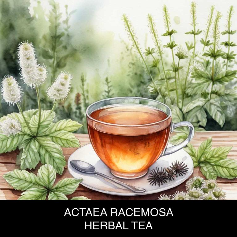 actaea racemosa herbal teas for menopause