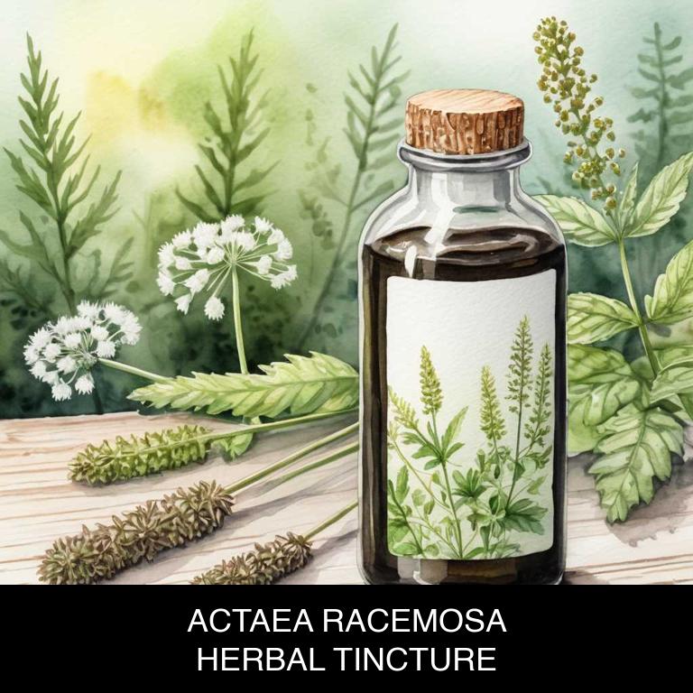 actaea racemosa herbal tinctures for periods-over-bleeding