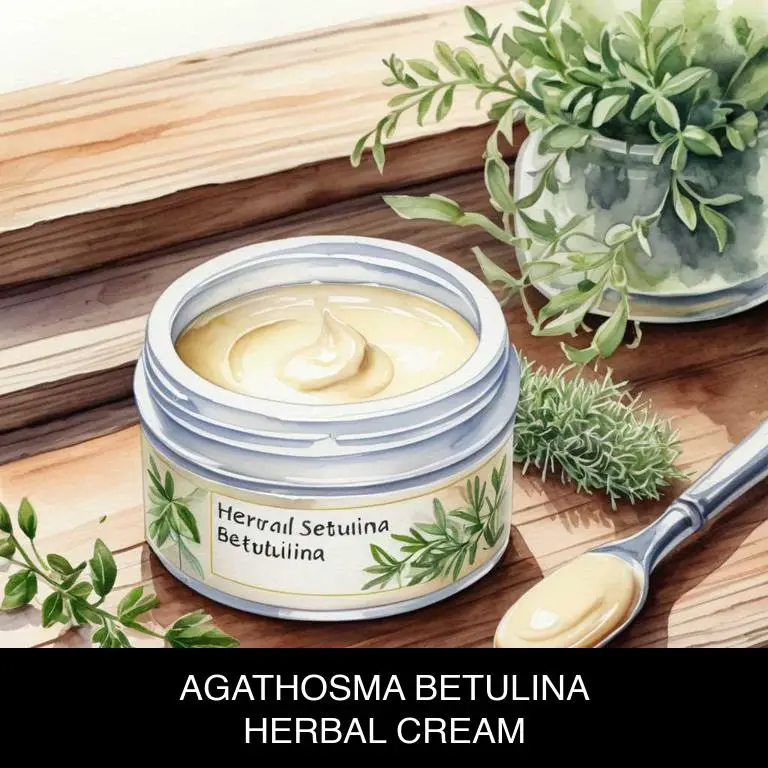 agathosma betulina herbal creams for prostate-inflammation