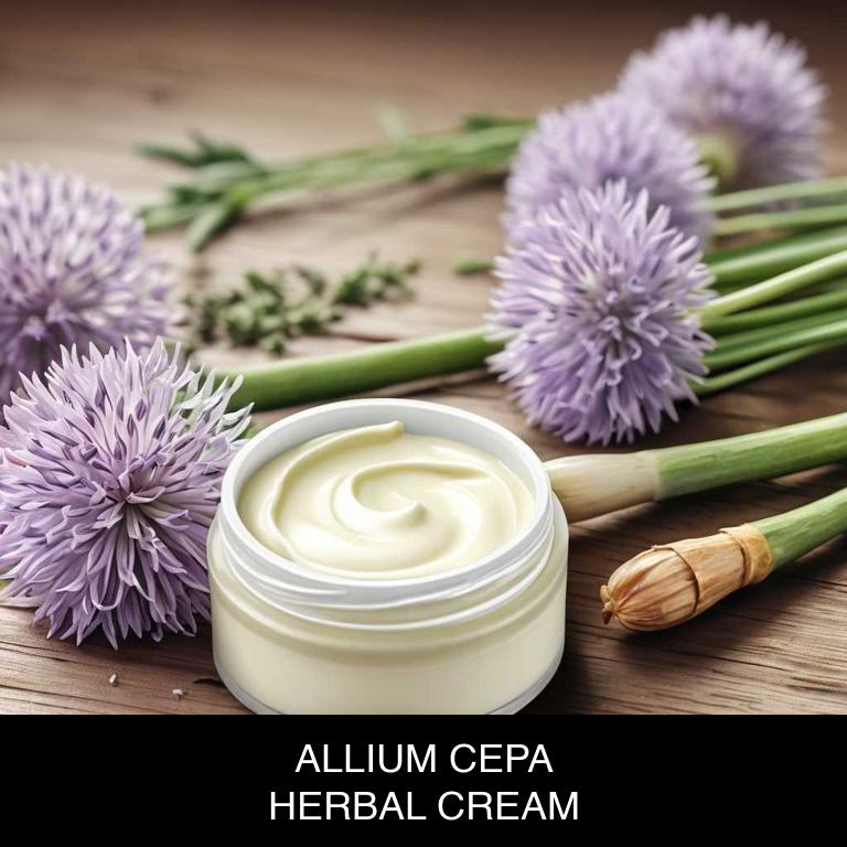 allium cepa herbal creams for jock-itch