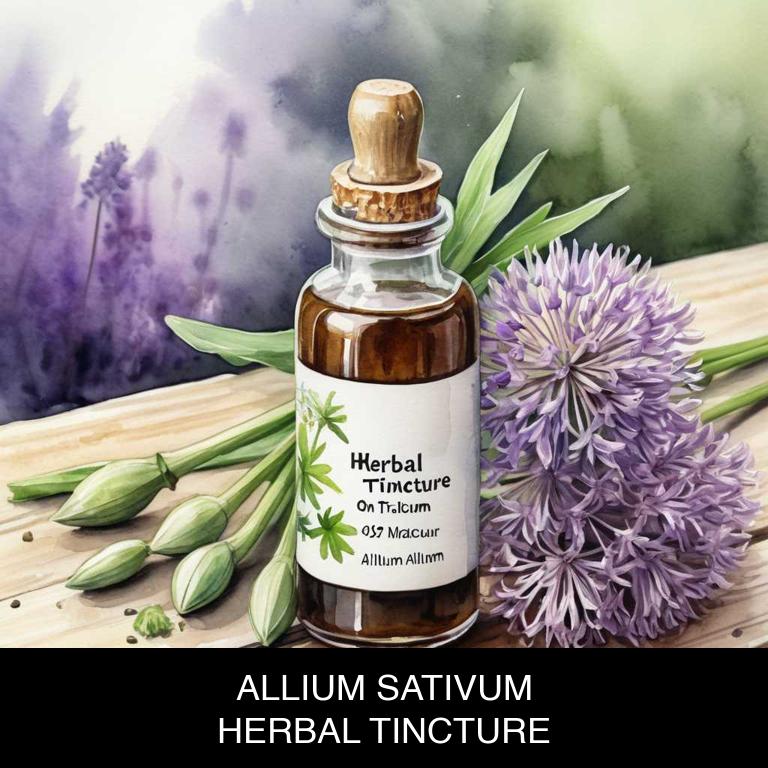 allium sativum herbal tinctures for throat-redness