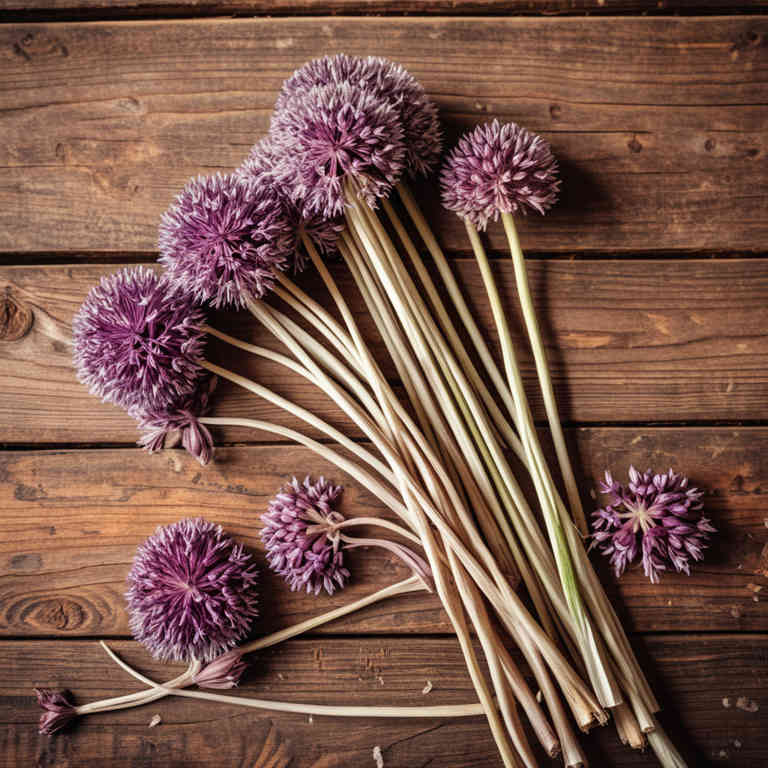 Allium sativum linctuses