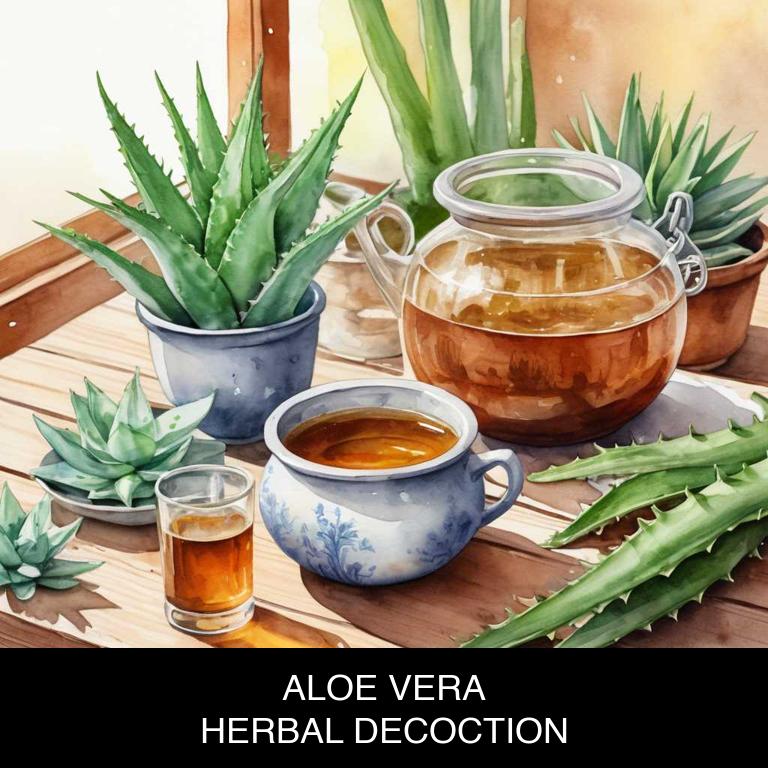 aloe vera herbal decoctions for itchy-ears