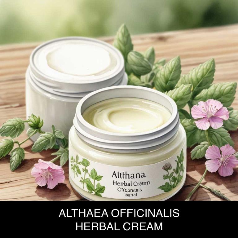 althaea officinalis herbal creams for burns