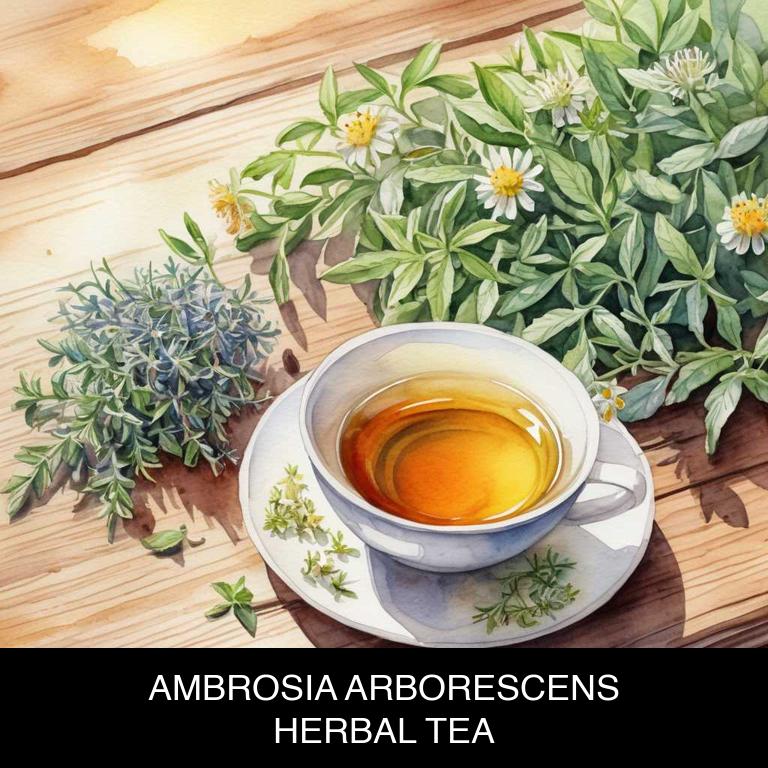 ambrosia arborescens herbal teas for allergies