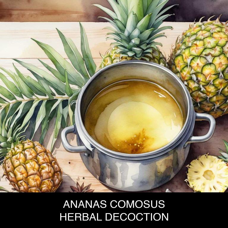 ananas comosus herbal decoctions for hay-fever