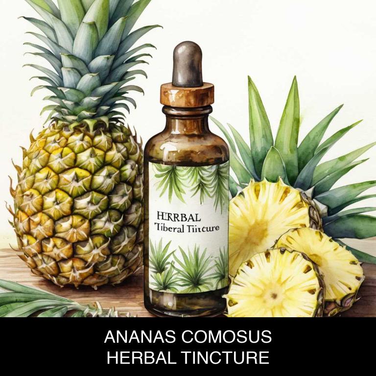 ananas comosus herbal tinctures for hay-fever