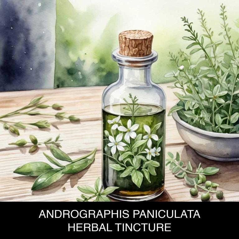 andrographis paniculata herbal tinctures for colds