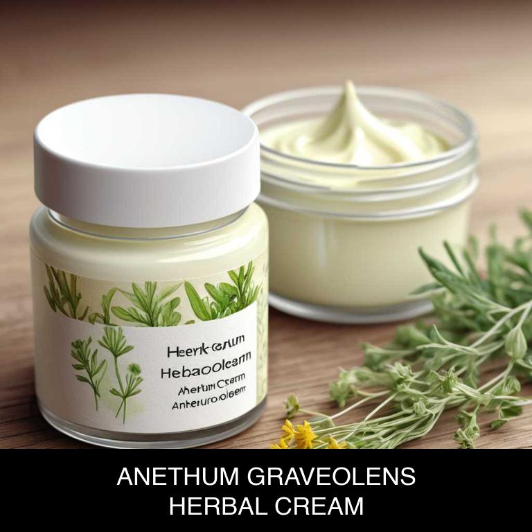 anethum graveolens herbal creams for flatulence