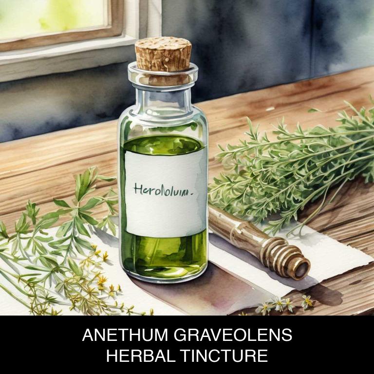 anethum graveolens herbal tinctures for flatulence