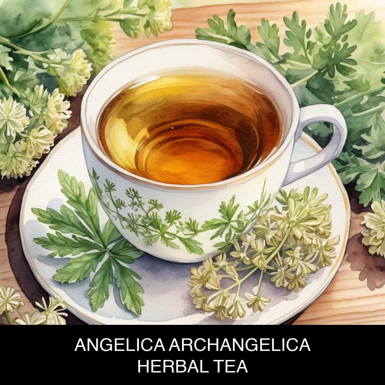 angelica archangelica herbal teas for premenstrual-syndrome