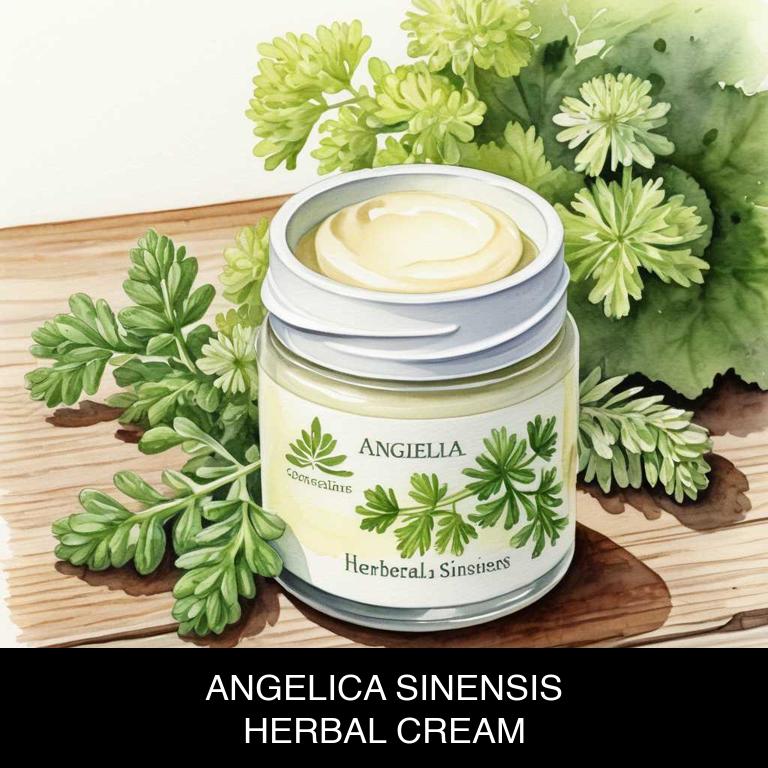 angelica sinensis herbal creams for menopause