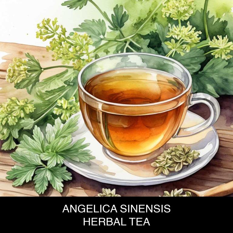 angelica sinensis herbal teas for menopause