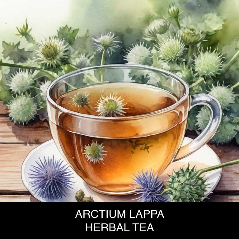 arctium lappa herbal teas for toothache