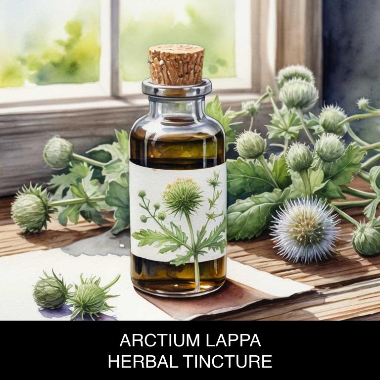 arctium lappa herbal tinctures for dry-skin