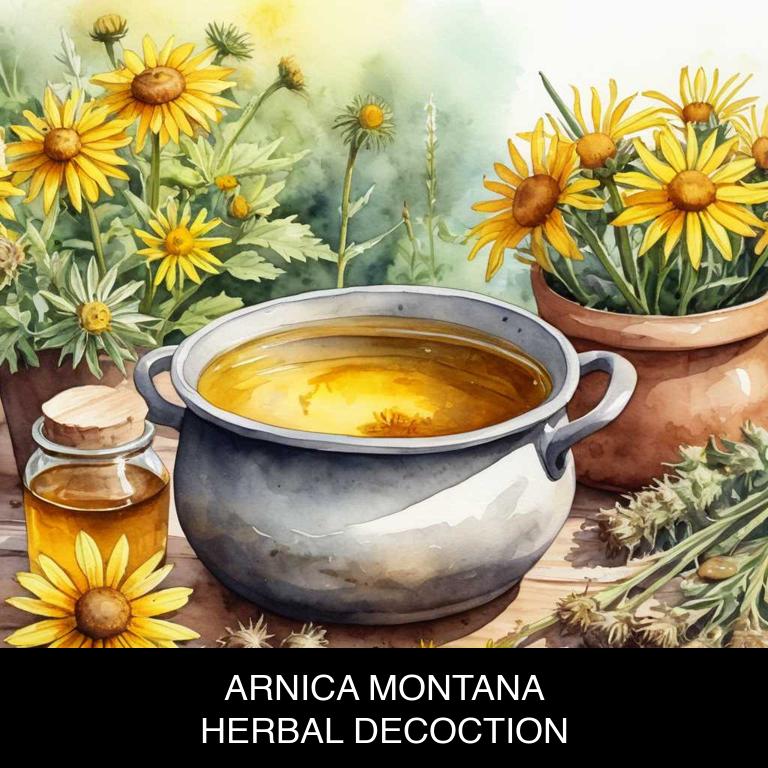 arnica montana herbal decoctions for burns