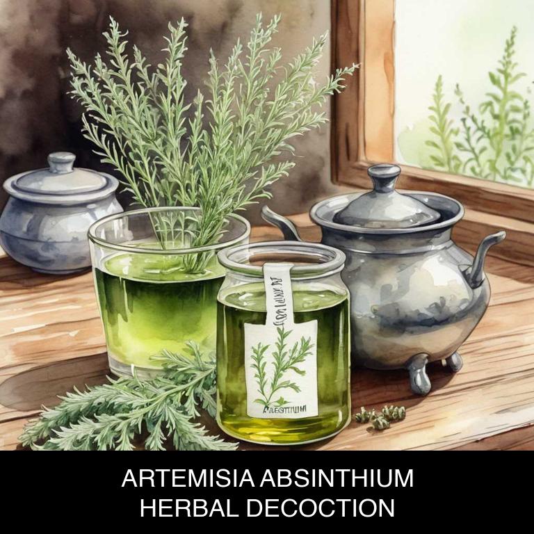 artemisia absinthium herbal decoctions for frizzy-hair