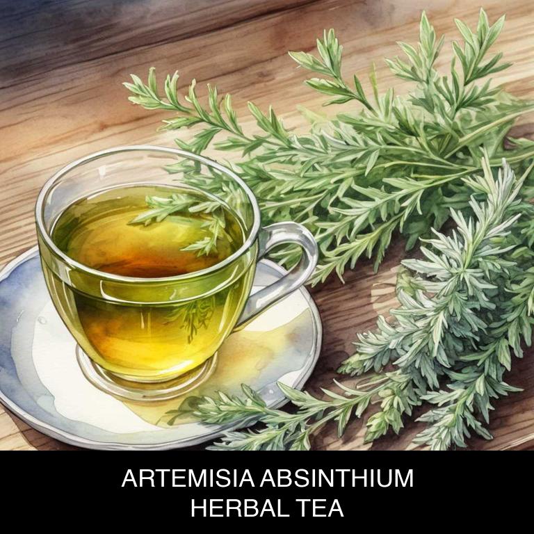 artemisia absinthium herbal teas for hair-fall