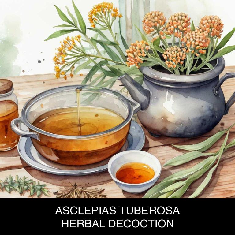 asclepias tuberosa herbal decoctions for breath-shortness