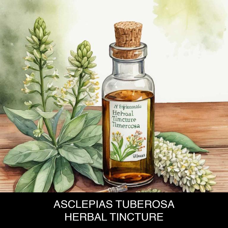 asclepias tuberosa herbal tinctures for dizziness