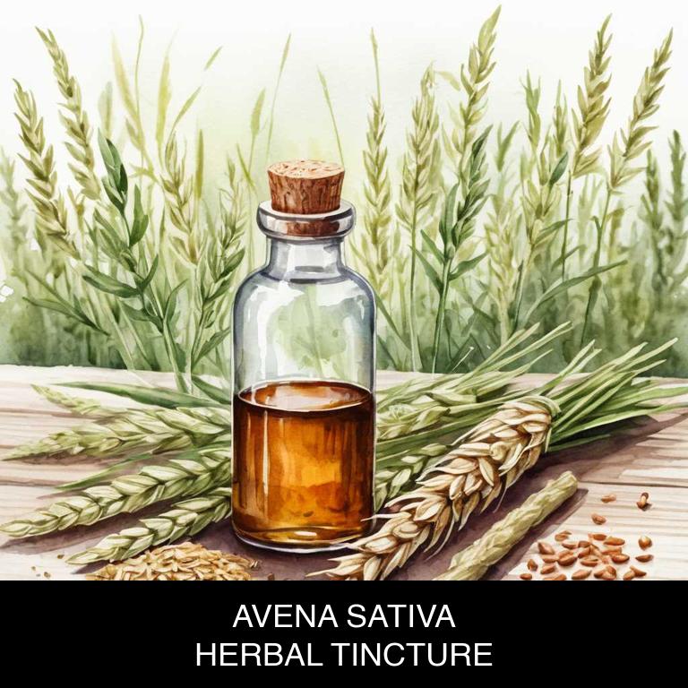 avena sativa herbal tinctures for hypertension