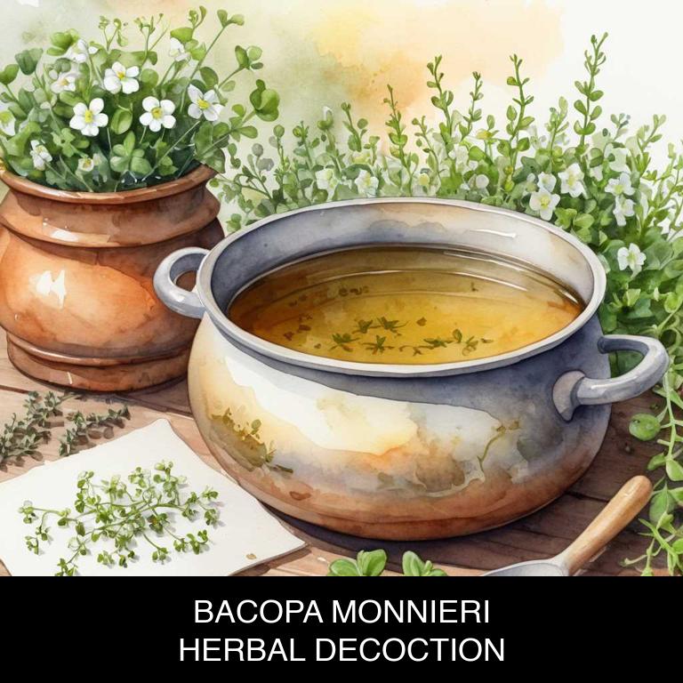 bacopa monnieri herbal decoctions for alzheimer-disease