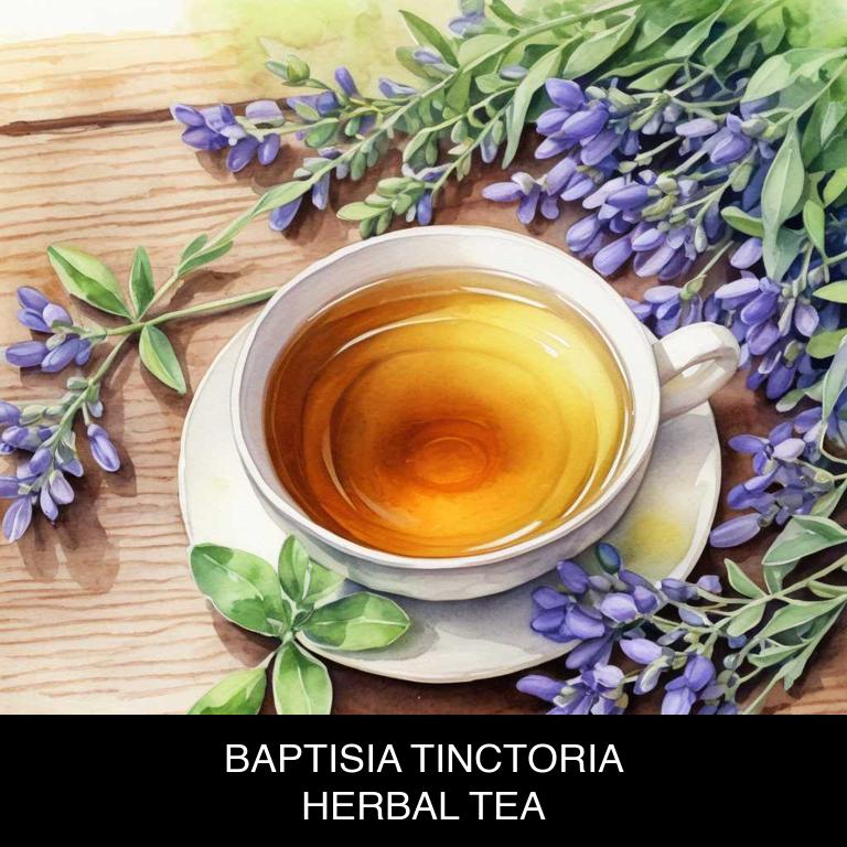 baptisia tinctoria herbal teas for itchy-skin