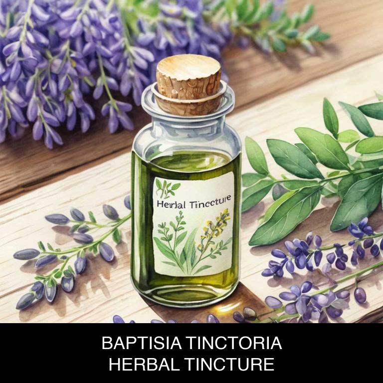 baptisia tinctoria herbal tinctures for dermatitis