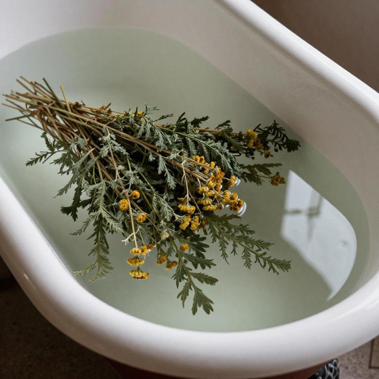 artemisia vulgaris bath