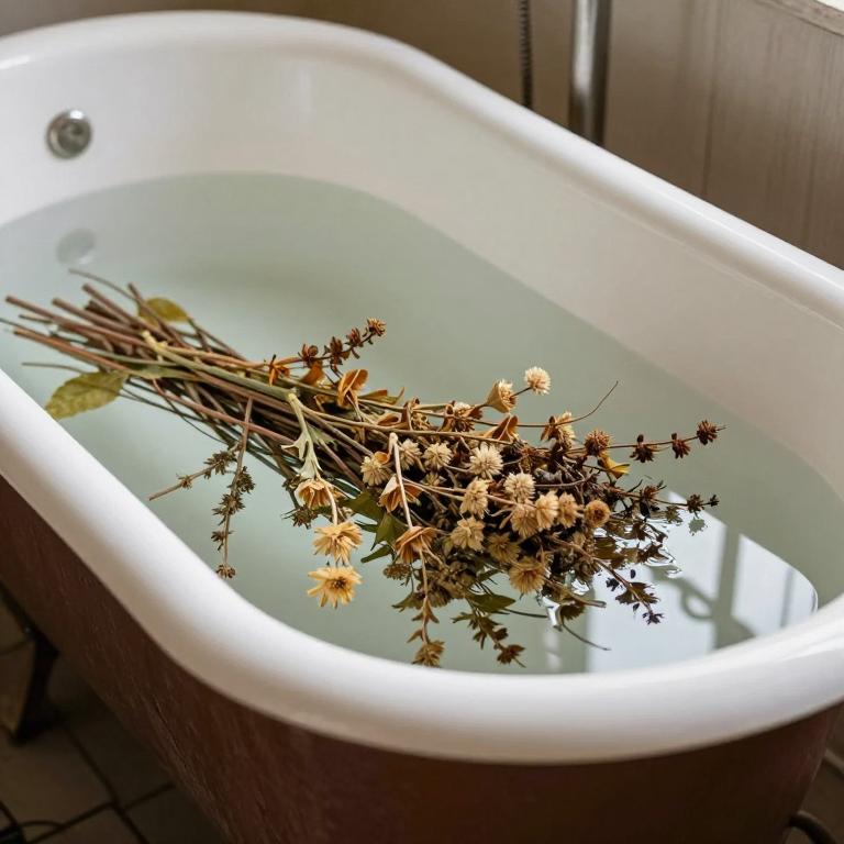 cimicifuga racemosa bath