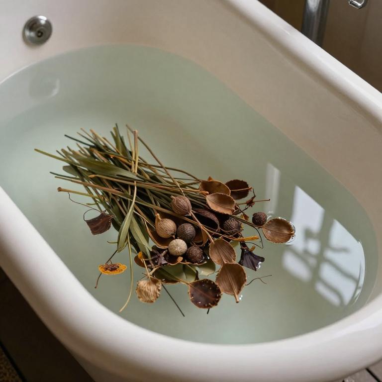 cinnamomum zeylanicum bath