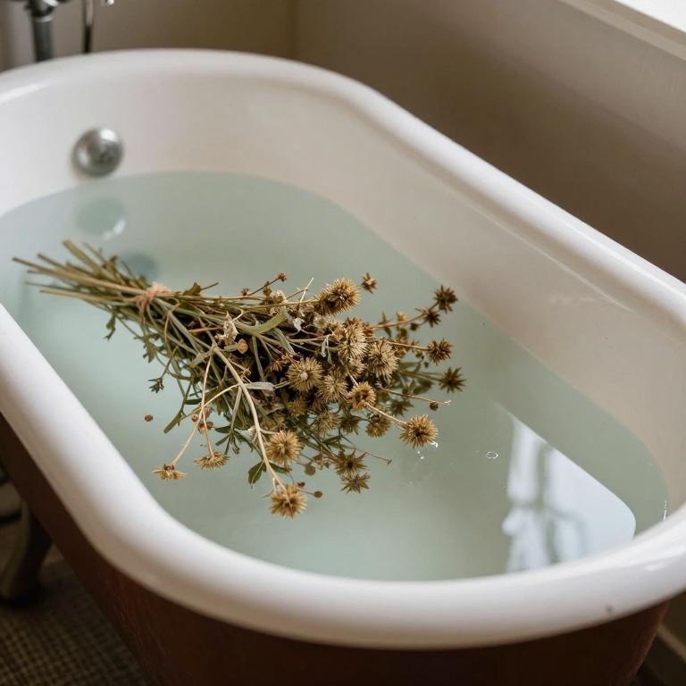 cnicus benedictus bath