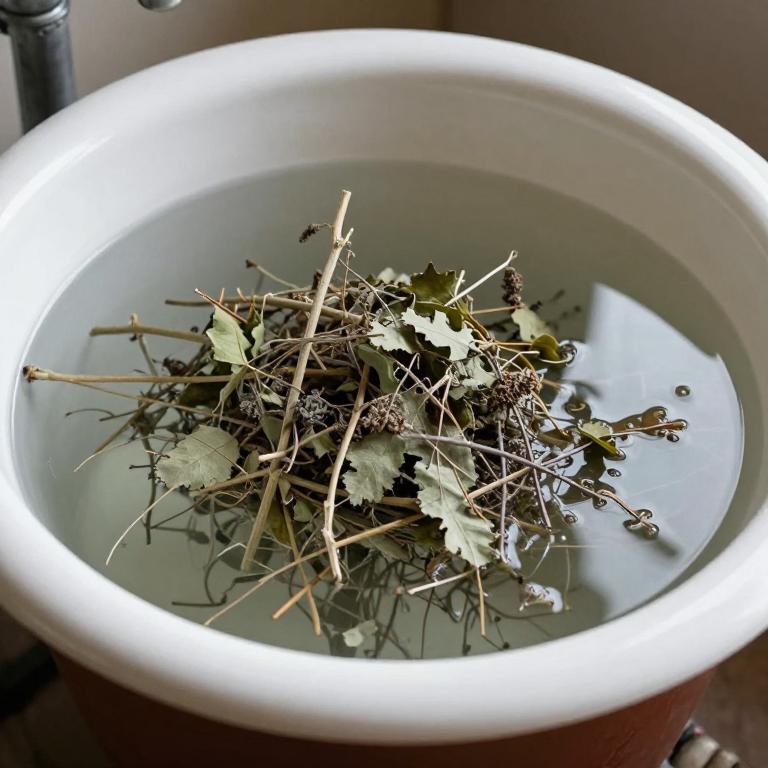 cuminum cyminum bath