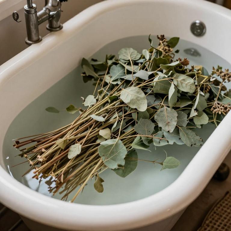 eclipta prostrata bath