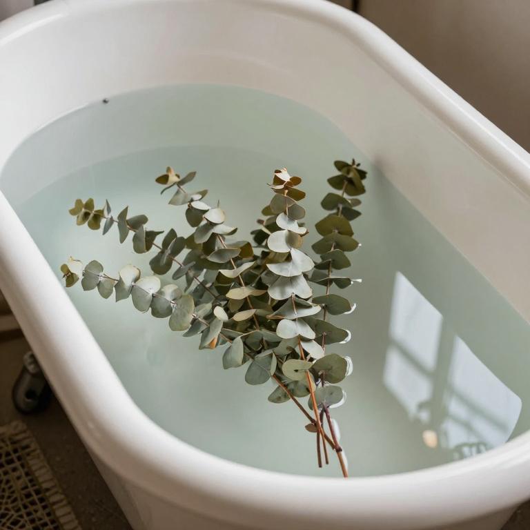 eucalyptus globulus bath