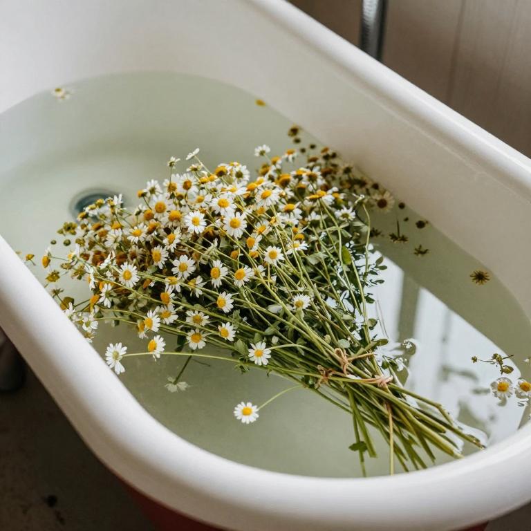 matricaria chamomilla bath