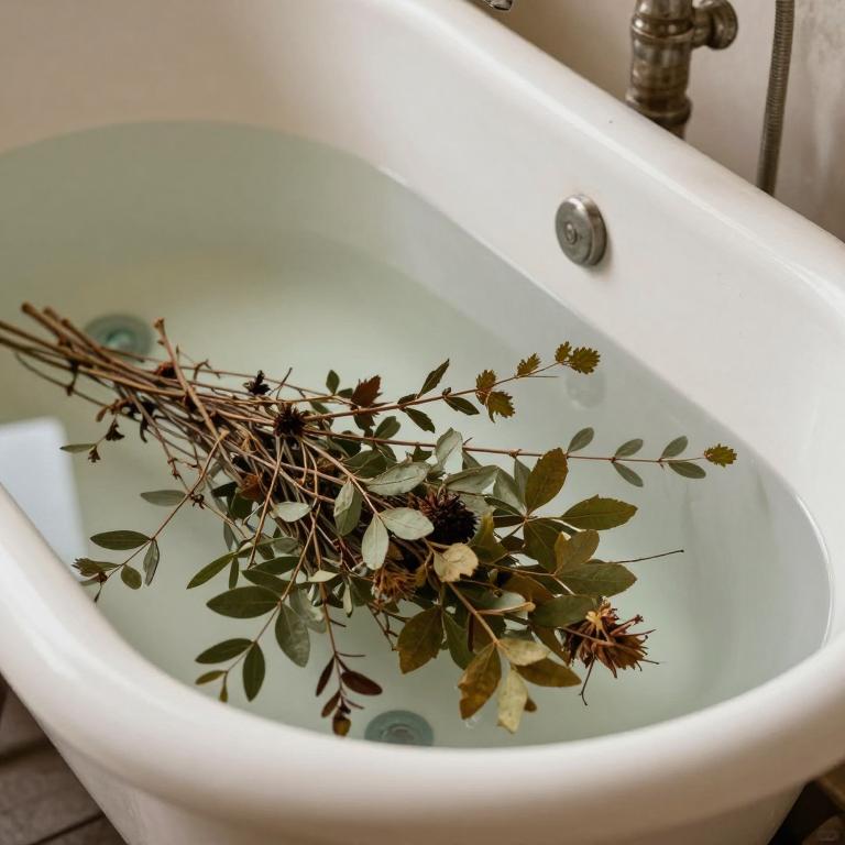 rhus toxicodendron bath