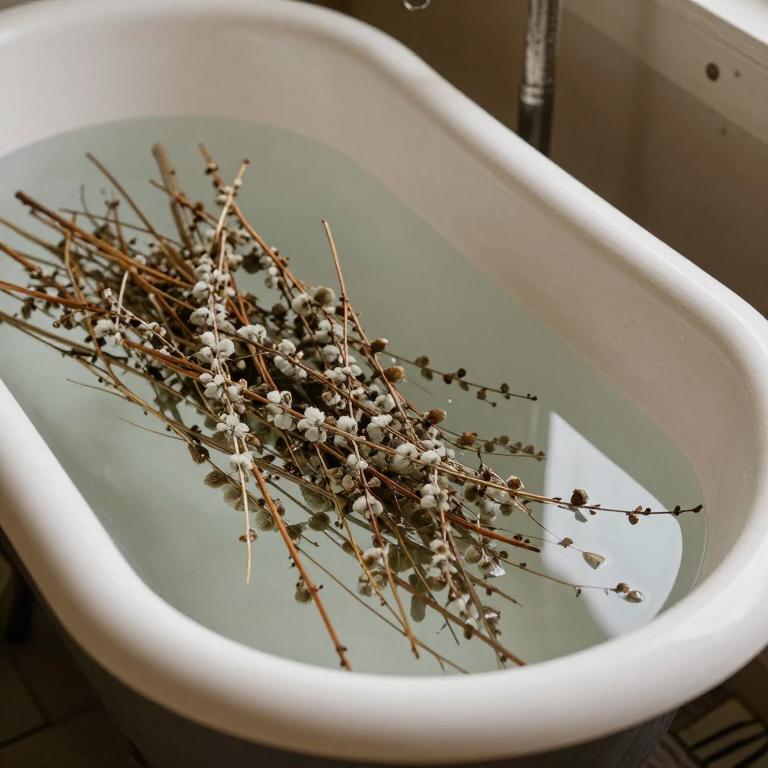 salix alba bath