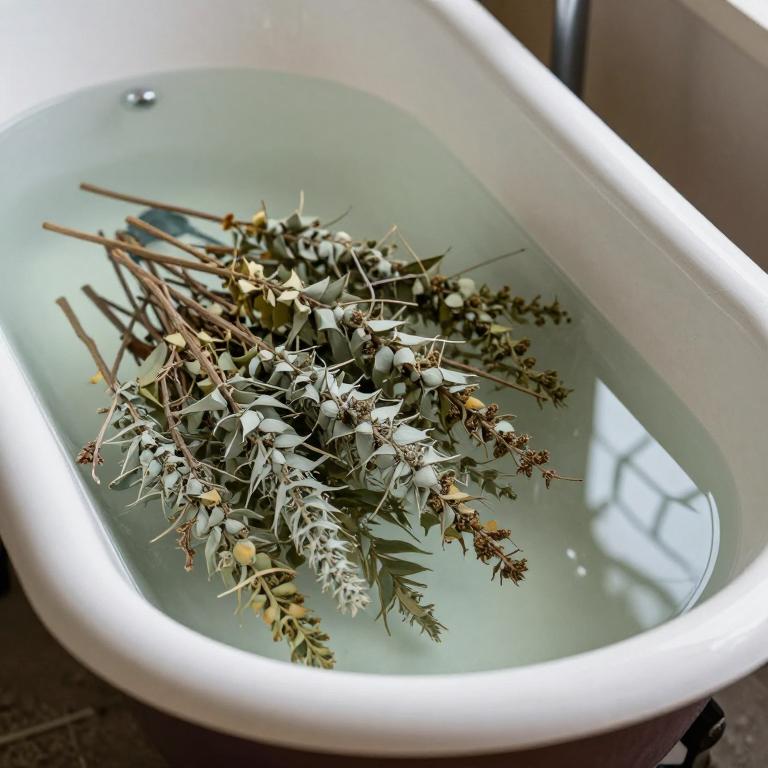 sutherlandia frutescens bath