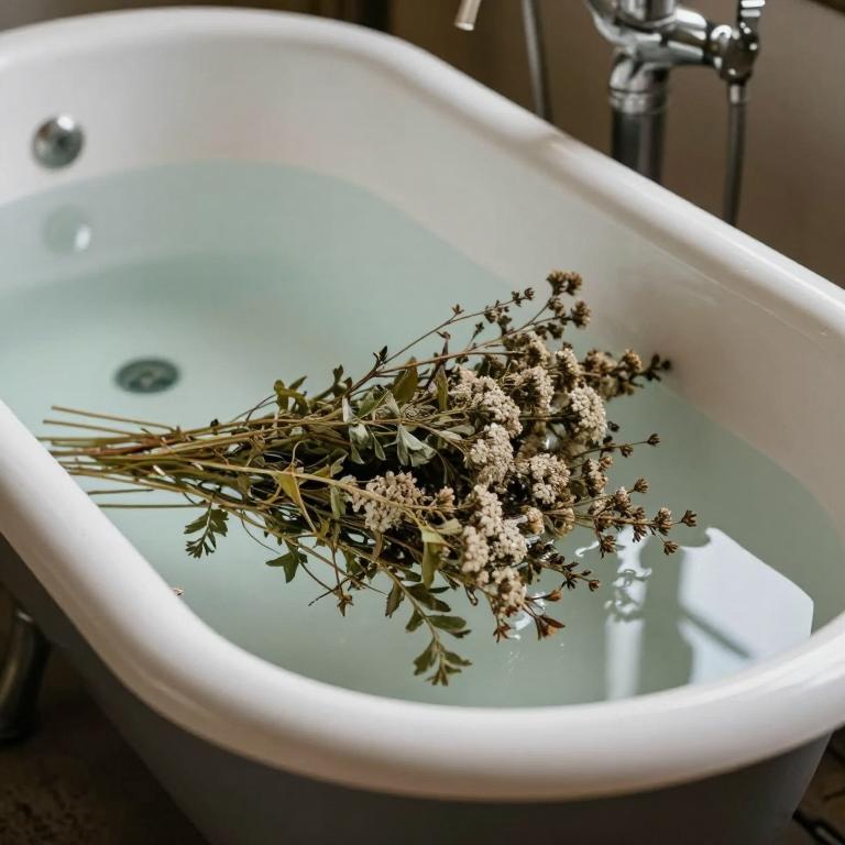 teucrium polium bath