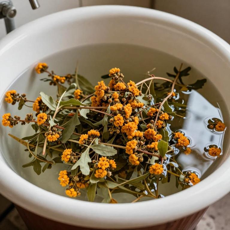 vitex agnus-castus bath