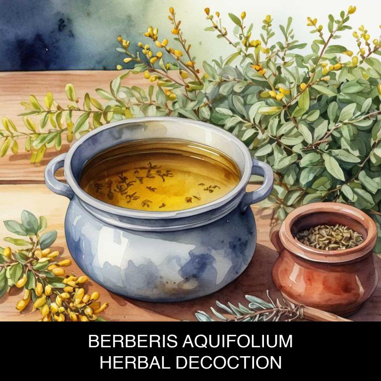 berberis aquifolium herbal decoctions for diarrhea