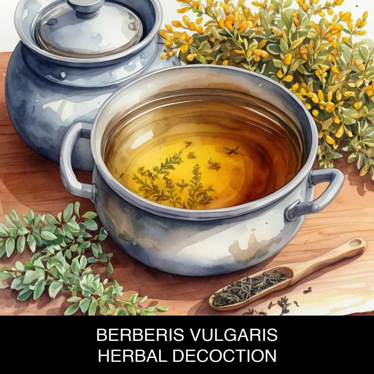 berberis vulgaris herbal decoctions for irritable-bowel-syndrome